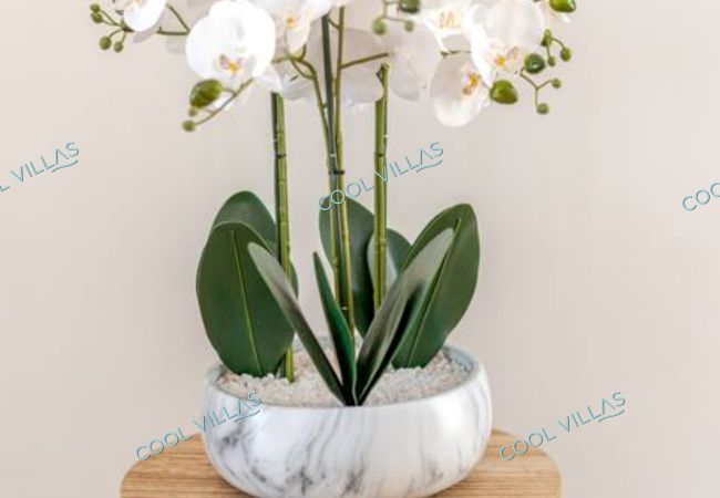 Villa em Albufeira - Orquidea Senses - 8 Pax - Sea View Villa em Albufeira - Orquidea Senses - 8 Pax - Sea View